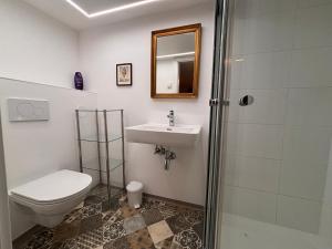 a bathroom with a toilet and a sink and a shower at Lorenzfranzl in Sankt Oswald ob Eibiswald