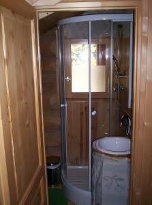 a bathroom with a shower and a sink at Le Chalet Neige in Chorges