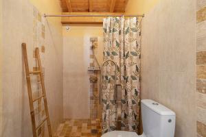 a bathroom with a toilet and a shower curtain at Gite La Roseraie in Saint-Émilion +18 photos