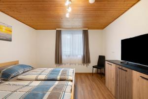a bedroom with a bed and a flat screen tv at Apartments Winder 3 in Lustenau