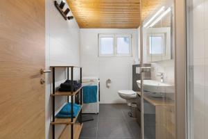 a bathroom with a sink and a toilet at Apartments Winder 3 in Lustenau