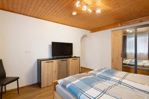 a bedroom with a bed and a flat screen tv at Apartments Winder 3 in Lustenau