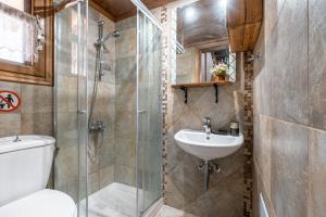 a bathroom with a shower and a toilet and a sink at Traditional Thea Home Vati Rhodes in Vátion +20 photos