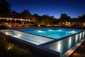 a swimming pool with lights in a backyard at night at Jawai Leopard Safari Lodge in Bera