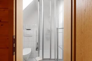 a bathroom with a toilet and a glass shower at Gästehaus Waldhüsle in Friedenweiler +20 photos