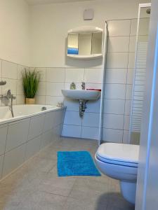 a bathroom with a sink and a toilet and a tub at Fischerhaus Zecherin in Zecherin