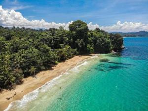an aerial view of a beach with trees and water at Villa 3 - High End Studio Apartment with kitchen, Playa Chiquita in Cocles