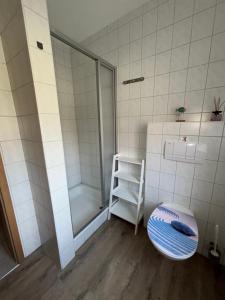 a bathroom with a shower with a toilet and a stool at Ferienwohnung Charly in Carolinensiel +18 photos