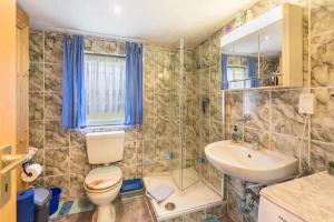 a bathroom with a shower toilet and a sink at Ferienhäuschen Wils in Borkheide +13 photos
