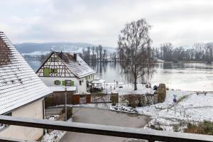 a view of a lake with snow on the ground at Ferienwohnungen Martin Lafar in Öhningen