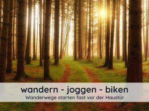 a path in a forest with the sun shining through the trees at Ferienwohnung Auszeit Harz in Bad Sachsa