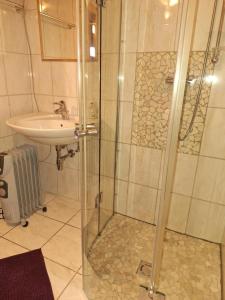 a bathroom with a shower and a sink at Adlerhütte in Stall +36 photos