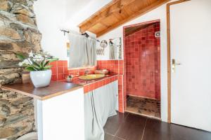a bathroom with a sink and a red tile shower at Le Grand Mas de Can Noy in Montferrer