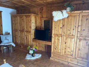 a living room with a tv and a wooden wall at Oberbründlingchalet in Taxenbach