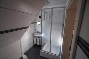ein kleines Badezimmer mit Dusche und Waschbecken in der Unterkunft Jachthuus in Brilon + 34 Fotos