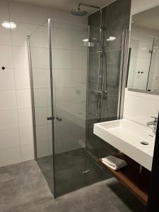a bathroom with a glass shower and a sink at Wellnessappartement Winterberg D4 in Winterberg