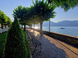 a bench sitting next to the water with trees at Vichi's nest in Pianello Del Lario