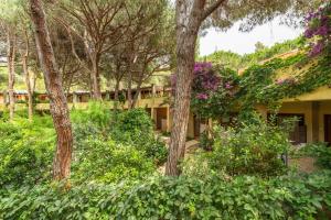 a house surrounded by trees and flowers at Appartamento Pinus in Santa Margherita di Pula
