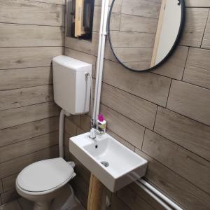a bathroom with a toilet and a sink and a mirror at Zlatibor Koliba Laki in Zlatibor