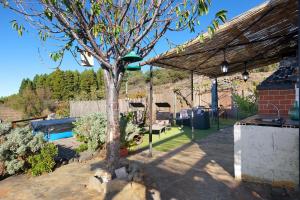 a garden with a tree and a swimming pool at Media Pipa in Puntagorda