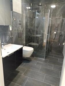 a bathroom with a shower and a toilet and a sink at Hotel zur Panke Wohnung 2 in Kolonie Röntgental