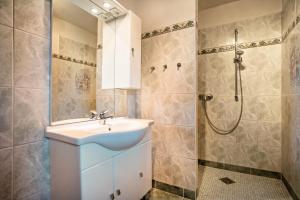 a bathroom with a sink and a shower at Hof Verchen Nahe Kummerower See in Verchen +21 photos