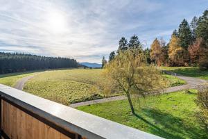 a view of a field from a fence at Café Pension Pfaus Heidburg in Mühlenbach