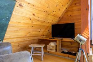 a room with a tv in a wooden wall at Chalet in Mittlach