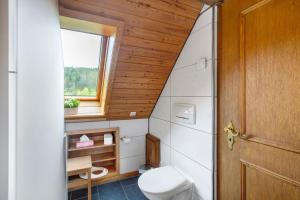 a small bathroom with a toilet and a window at Altes Zollhüsli in Schluchsee +102 photos