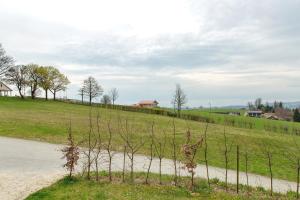 a fence on a dirt road in a field at Haus Heike in Untergriesbach