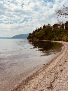 a sandy beach with trees and the water at Holiday home Lavande in Tivat +26 photos