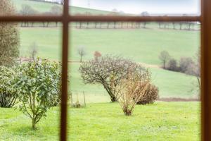 a view from a window of a field with trees at Ferienwohnung, 55qm in Herscheid