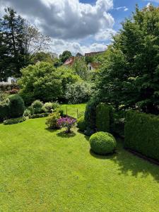 a garden with green grass and bushes and trees at Herzlichstharz - Klein und Fein in Bad Lauterberg +5 photos