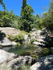 a stream of water with rocks and trees at Casa Johana in El Arenal +27 photos