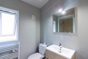 a bathroom with a toilet and a sink and a mirror at Chalet Franklin 2 personnes in Saint-Martial-de-Nabirat +12 photos