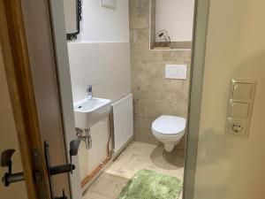 a bathroom with a toilet and a sink at Bergchalet Zirbenzapfen in Judenburg +22 photos