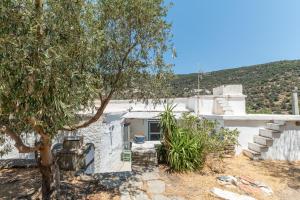 a white house with a tree in front of it at Andros Traditional House in Andros