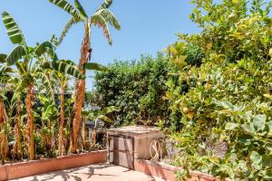 a garden with fruit trees and a wooden box at Monolocale Arredato - Le Terrazze in Ribera