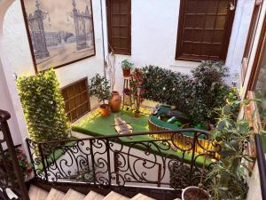 a balcony with a garden with two cats on the grass at Hotel de l'Academie Place Stanislas, Nancy Centre , Gare et Congrés in Nancy