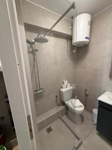 a small bathroom with a shower and a toilet at Nice & cosy central studios in Mikonos