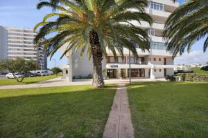 a palm tree in front of a building at The Studio - Pet friendly in Alvor