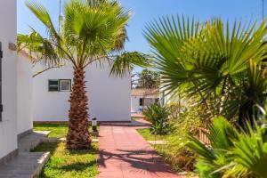 a palm tree in front of a building at Son Xoriguer 5 in Son Xoriguer