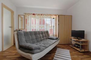 a living room with a couch and a television at Nichtraucher-Ferienwohnung Sandhaas in Ringsheim