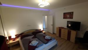 a living room with a bed and a television at Ferienhaus Kesper in Schottwien