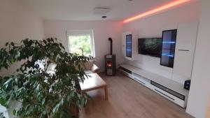 a living room with a couch and a tv at Ferienhaus Kesper in Schottwien