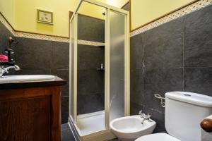 a bathroom with a shower and a toilet and a sink at Maseda 1 in Villayón +24 photos