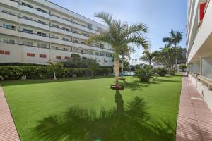a palm tree in the middle of a lawn in front of a building at Kellys' Apartment Las Camelias in San Bartolomé
