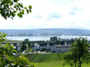 a town with a bunch of vineyards and a lake at Ferienwohnung Naturhaus, 50qm in Allensbach