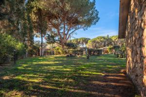 a view of a yard with trees and grass at La Capannuccia C in Ansedónia