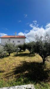 a white building with trees in front of it at Refúgio de Fátima in Fátima
